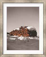 Framed Logs in Snow