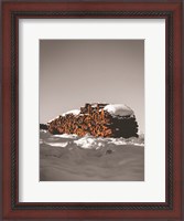 Framed Logs in Snow