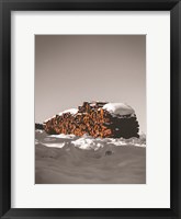 Framed Logs in Snow