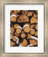 Framed Wood Pile