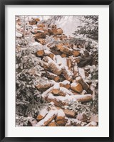 Framed Winter Wood Pile