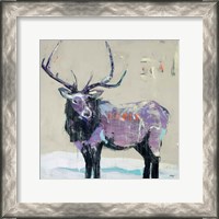 Framed Winter Elk