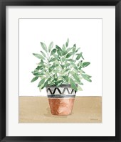 Herb Garden V White Framed Print