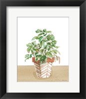 Framed Herb Garden II White