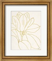 Framed Gold Magnolia Line Drawing v2 Crop