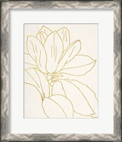 Framed Gold Magnolia Line Drawing v2 Crop