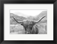 Framed Scottish Highland Cattle III Neutral Crop