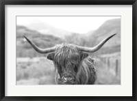 Framed Scottish Highland Cattle III Neutral Crop