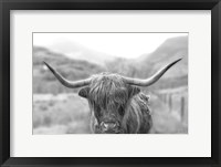 Framed Scottish Highland Cattle III Neutral Crop