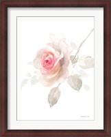 Framed Gentle Rose II