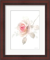 Framed Gentle Rose II