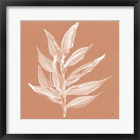 Leaf Study IV Pheasant Framed Print