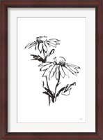 Framed Line Echinacea II