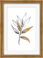 Framed Leafed VI