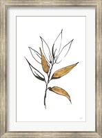 Framed Leafed VI