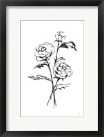 Line Ranunculus I Framed Print