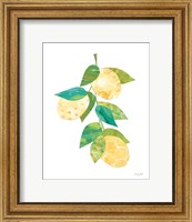 Framed Summer Lemons II