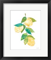 Summer Lemons II Framed Print