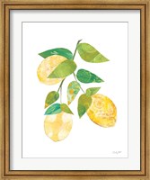 Framed Summer Lemons I