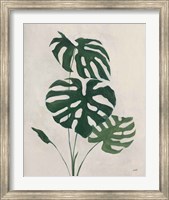 Framed Palm Botanical I