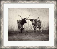 Framed Texas Longhorns