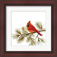 Framed Cardinal Christmas V on White