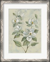 Framed Sage Magnolia