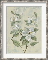 Framed Sage Magnolia