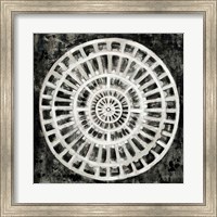 Framed Black Textured Medallion