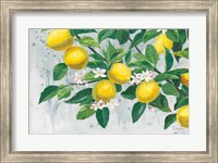 Framed Zesty Lemons