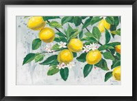 Framed Zesty Lemons
