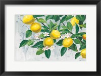 Framed Zesty Lemons