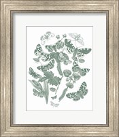 Framed Butterfly Bouquet IV Sage