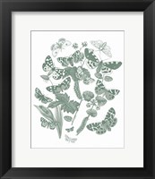 Framed Butterfly Bouquet IV Sage