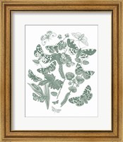 Framed 'Butterfly Bouquet IV Sage' border=