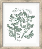 Framed Butterfly Bouquet IV Sage