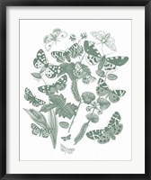 Framed Butterfly Bouquet IV Sage