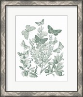 Framed 'Butterfly Bouquet II Sage' border=