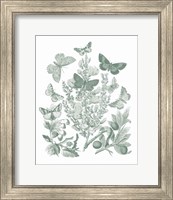 Framed 'Butterfly Bouquet II Sage' border=