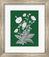 Framed Green Botanical VI