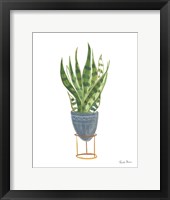 Green House Plants IV Framed Print