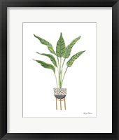 Green House Plants III Framed Print