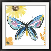 Framed Beautiful Butterfly III Blue No Words