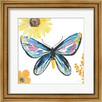 Framed Beautiful Butterfly III Blue No Words