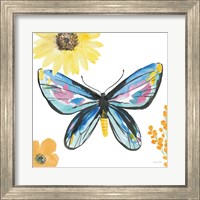 Framed 'Beautiful Butterfly III Blue No Words' border=