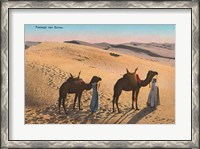 Framed Desert Crossing
