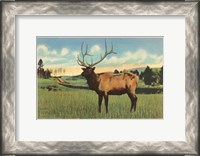 Framed Elk I Crop