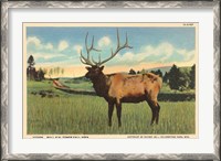 Framed Elk I Crop