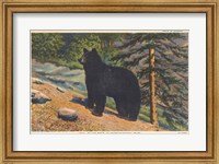 Framed Black Bear I Crop