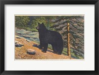 Framed Black Bear I Crop